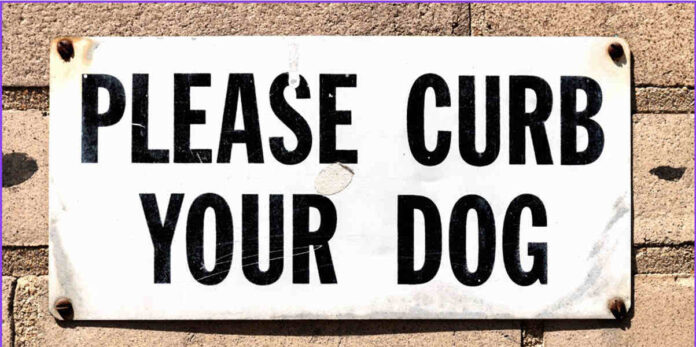 What Does Curb Your Dog Mean